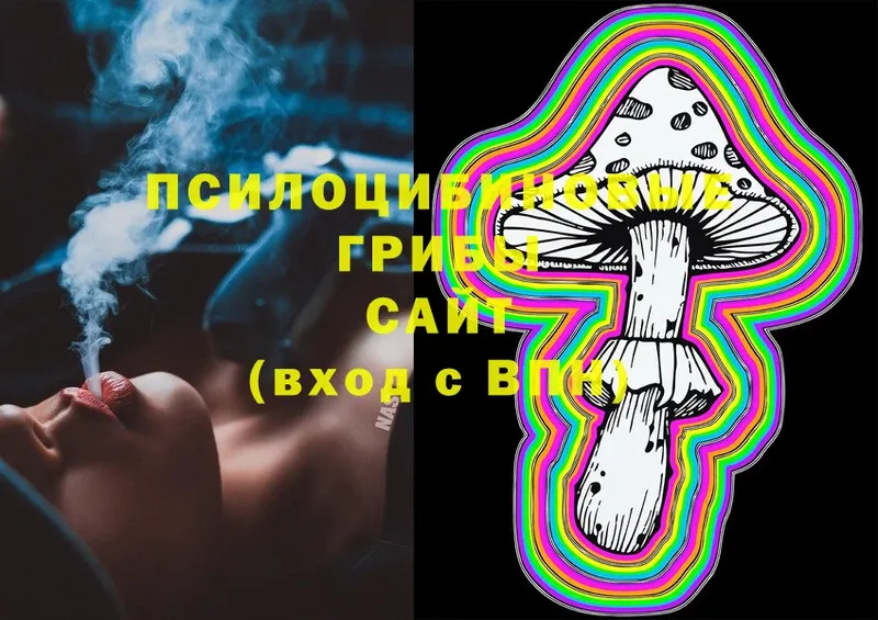 Галлюциногенные грибы MAGIC MUSHROOMS  Мостовской 